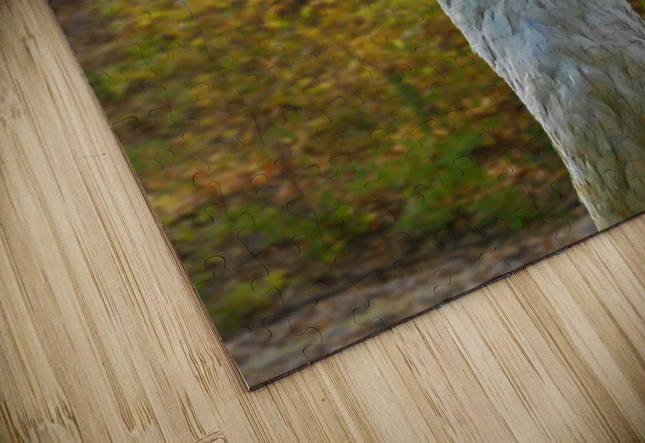 Sandhill crane Jim Radford Puzzle