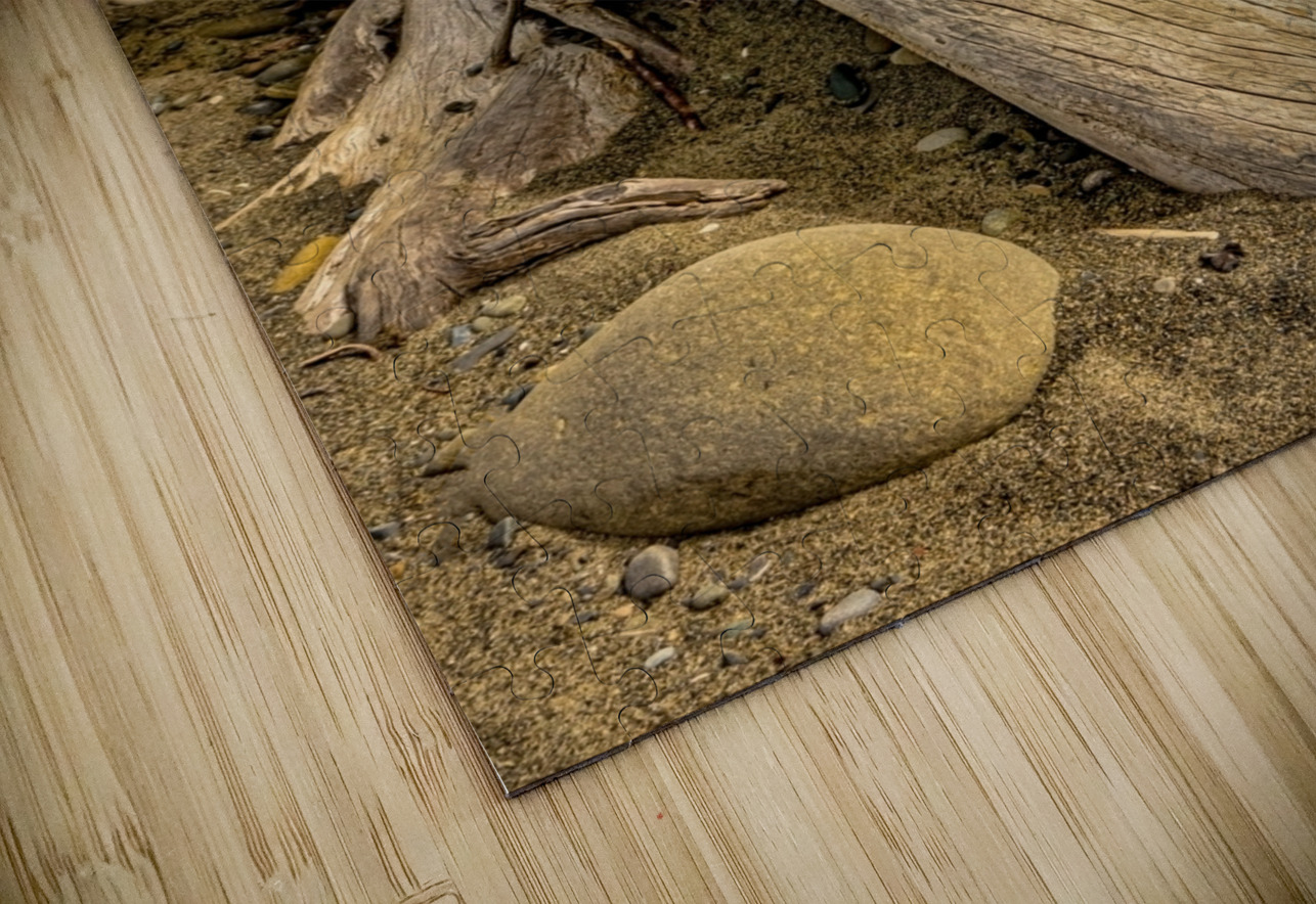 Drift wood in Washington Jim Radford Puzzle