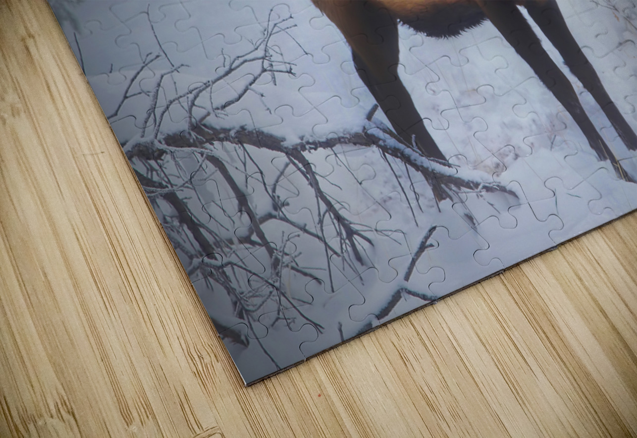 Grand Canyon Elk Jim Radford Puzzle