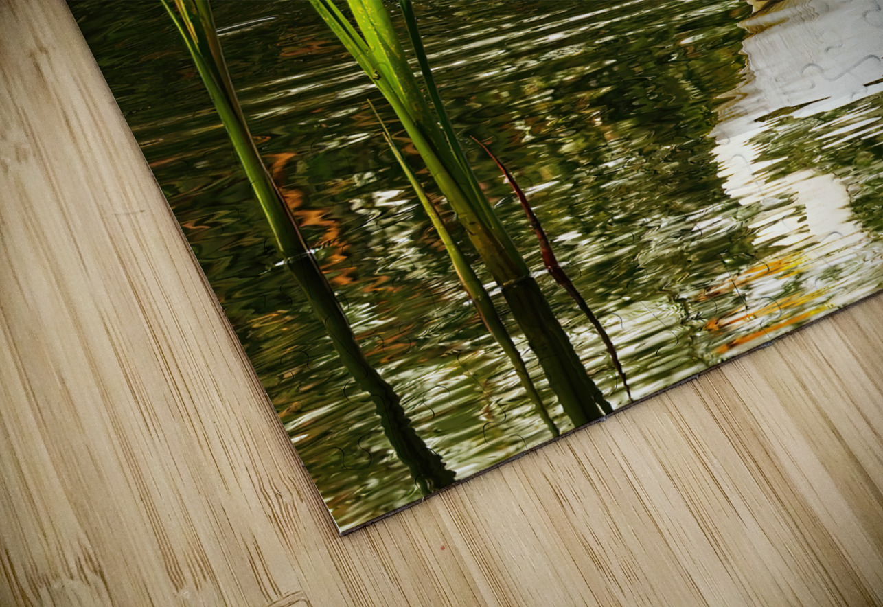 Feeding egret Jim Radford Puzzle