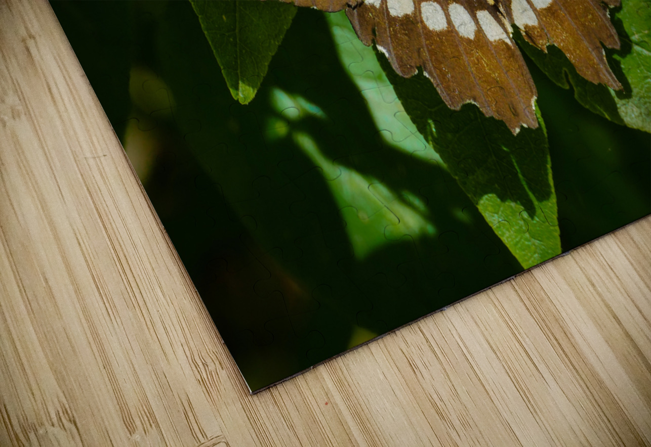 Giant Swallowtail Jim Radford Puzzle