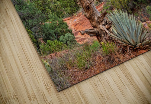 Sedona Overlook Jim Radford puzzle