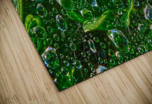 Water Drops Jim Radford puzzle