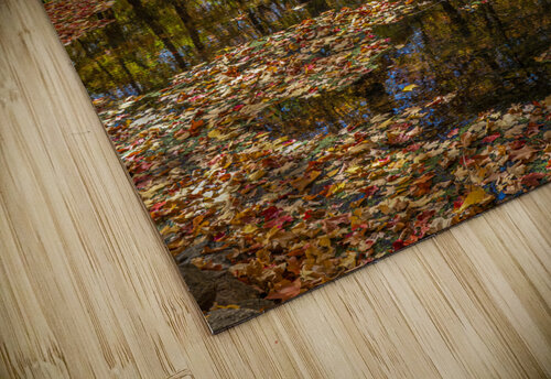 Forest Reflections Jim Radford puzzle
