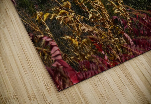 Burning Barn of Autumn Jim Radford puzzle