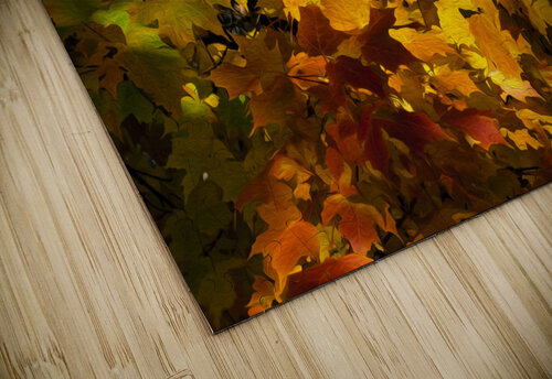 Fall Colors Jim Radford puzzle