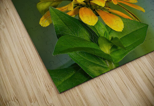 Hummer seeks the nectar Jim Radford puzzle