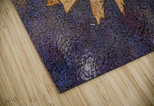 Oakleaf on ice Jim Radford puzzle