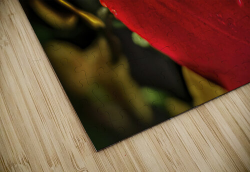 1382 Kuchenhof Jim Radford puzzle