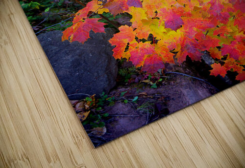 Complimentary Maple colors Jim Radford puzzle