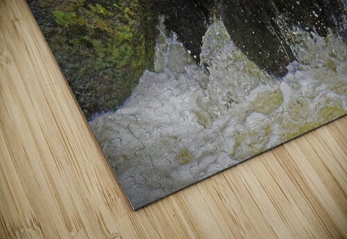 Salmon fishing Jim Radford puzzle