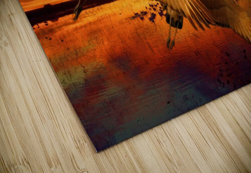 Sandhill Cranes at the Bosque Jim Radford puzzle