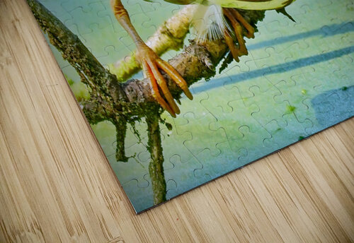  Green Heron Jim Radford puzzle