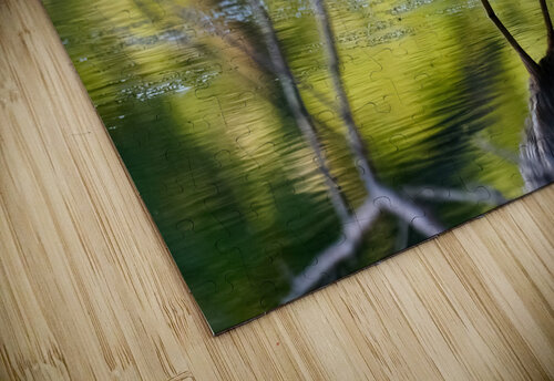 Blue Heron fishing Jim Radford puzzle