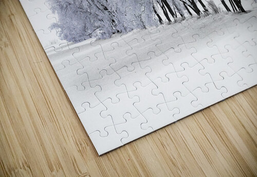 Hoarfrost in Minnesota Jim Radford puzzle