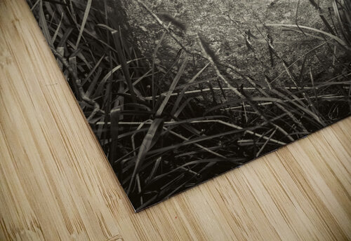 Metal milk can Jim Radford puzzle