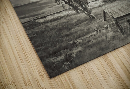 Washington farm plot Jim Radford puzzle