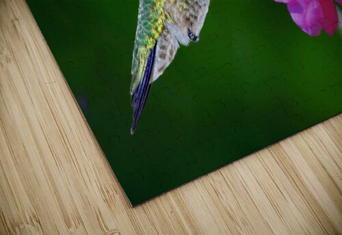 Hummer on flower Jim Radford puzzle