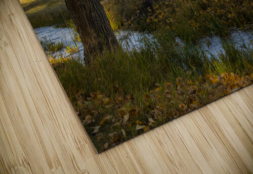 Abandoned Mormon Row Jim Radford puzzle