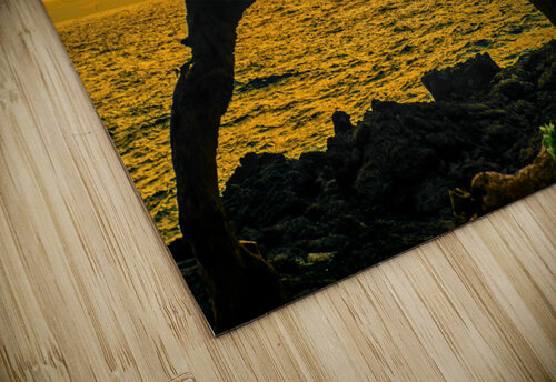 Sunset at Kona Jim Radford puzzle