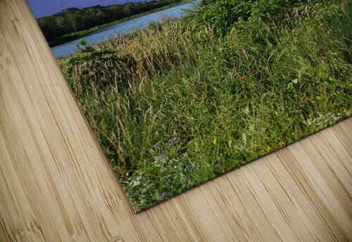 Sun is up  Jim Radford puzzle