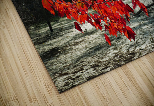   Fall Color in Lutsen Jim Radford puzzle