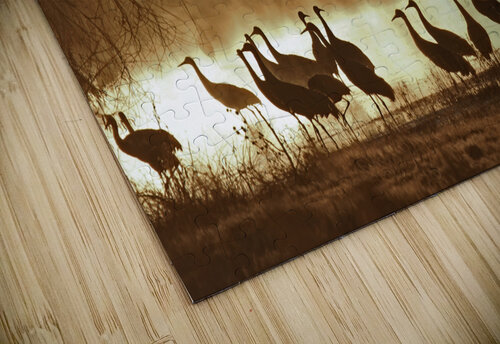 Sandhill crane migration Jim Radford puzzle