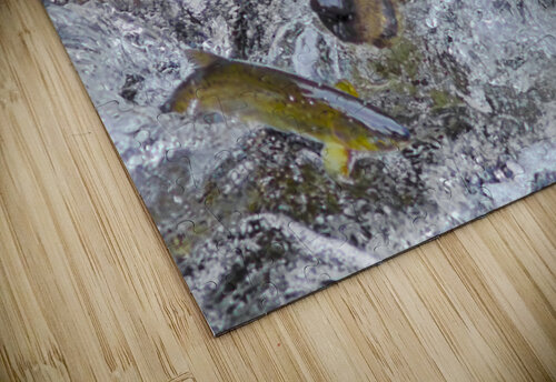 Dinner for grizzly  Jim Radford puzzle