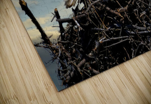 Eagle on nest Jim Radford puzzle