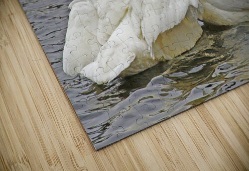 Trumpeter Swans Jim Radford puzzle