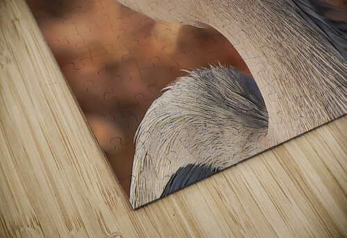 Great blue heron Jim Radford puzzle