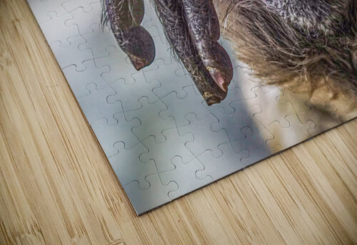 See no Evil   Jim Radford puzzle