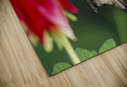 Hummer in the red Jim Radford puzzle