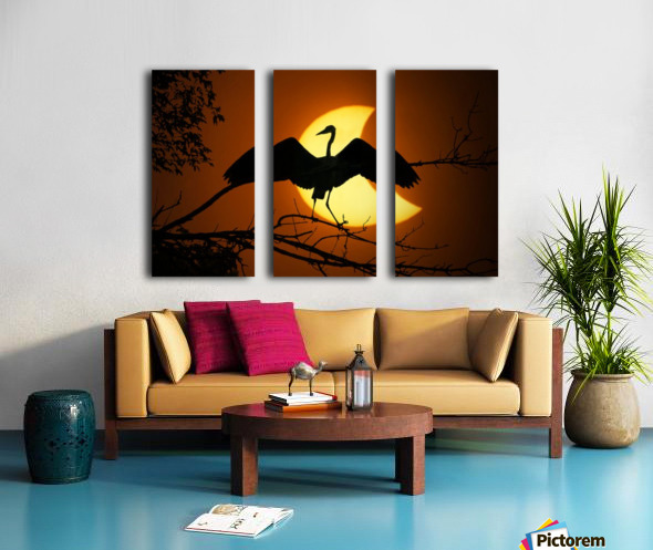 Egret Eclipse Split Canvas print