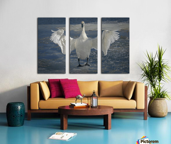 Embracing Swan Split Canvas print