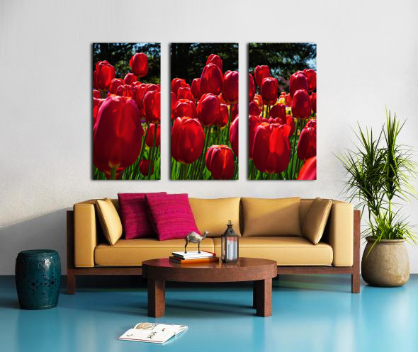 Red tulip parade  Split Canvas print