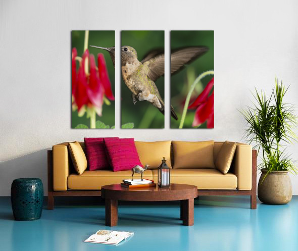 Hummer in the red Split Canvas print