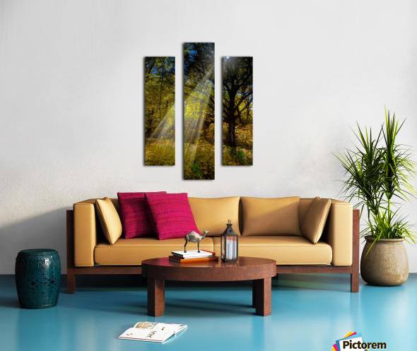 Forest Beams  Canvas print