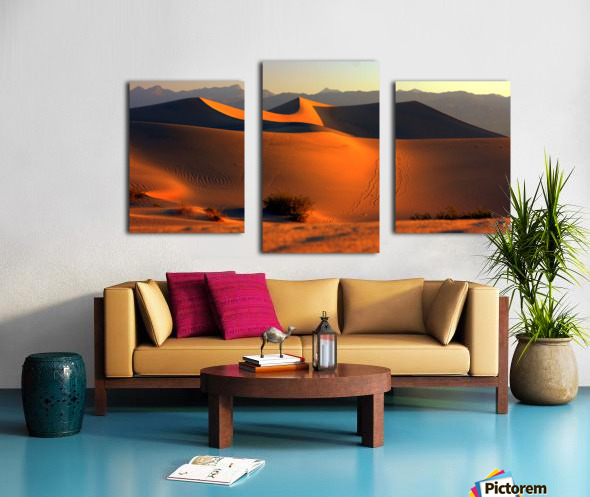 Mesquite Dunes at Dusk Canvas print