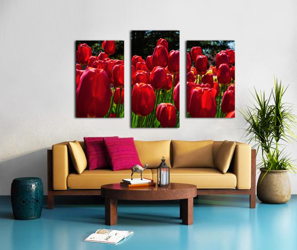 Red tulip parade  Impression sur toile