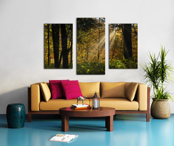 Falling leaves and beams  Canvas print