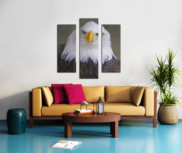 Bald eagle  Canvas print