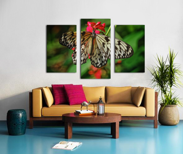 Paper kite butterfly Canvas print