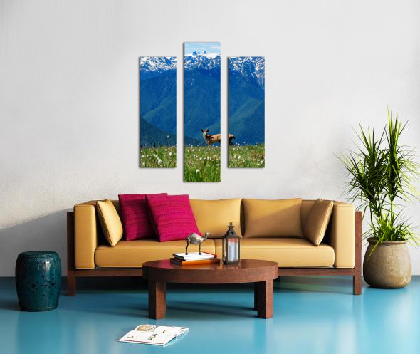 Olympic mountain range Canvas print