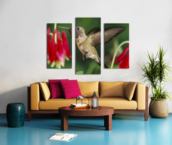 Hummer in the red Canvas print