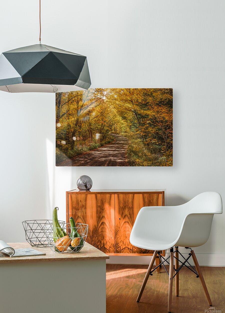 Sun Beams in Fall Color  HD Metal print with Floating Frame on Back
