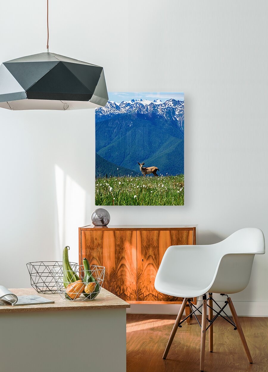 Olympic mountain range  HD Metal print with Floating Frame on Back