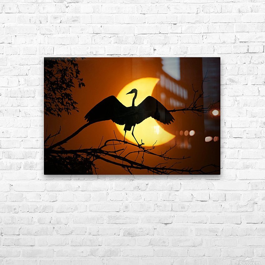 Egret Eclipse HD Sublimation Metal print with Decorating Float Frame (BOX)