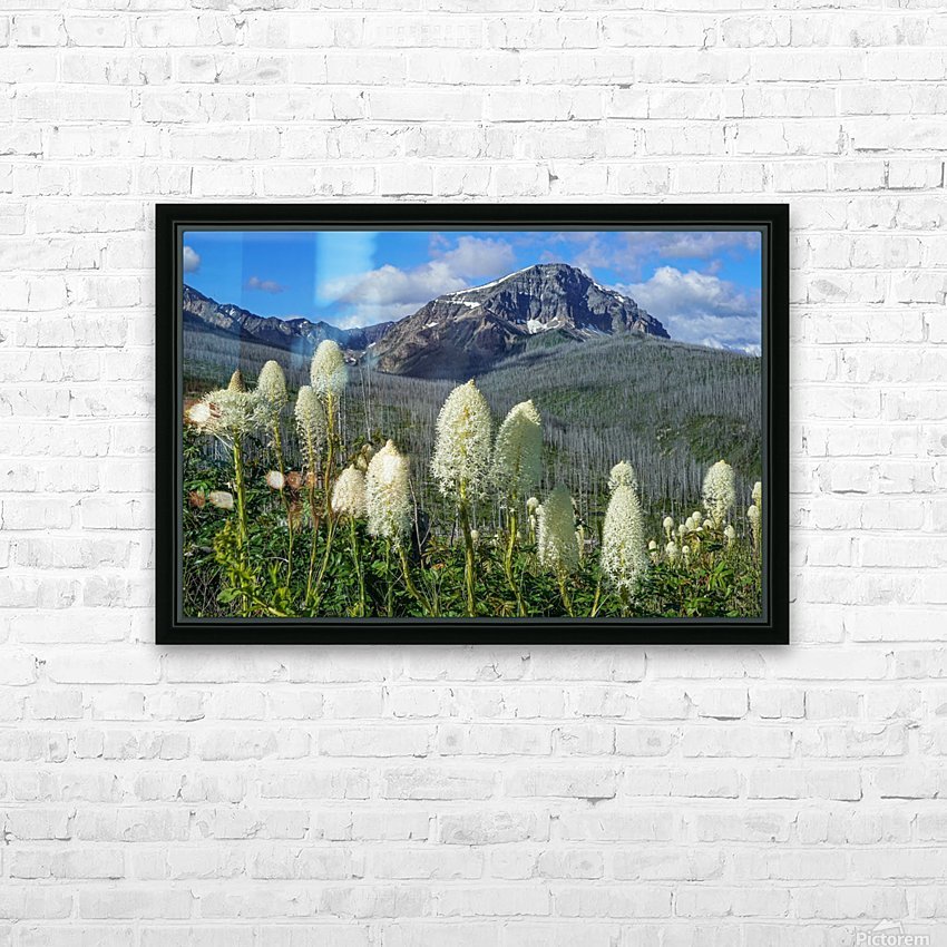 Bear Grass Fields HD Sublimation Metal print with Decorating Float Frame (BOX)