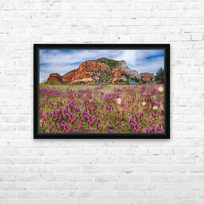Clover Fields in Sedona HD Sublimation Metal print with Decorating Float Frame (BOX)